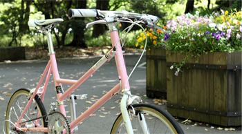 小径車(ミニベロ)